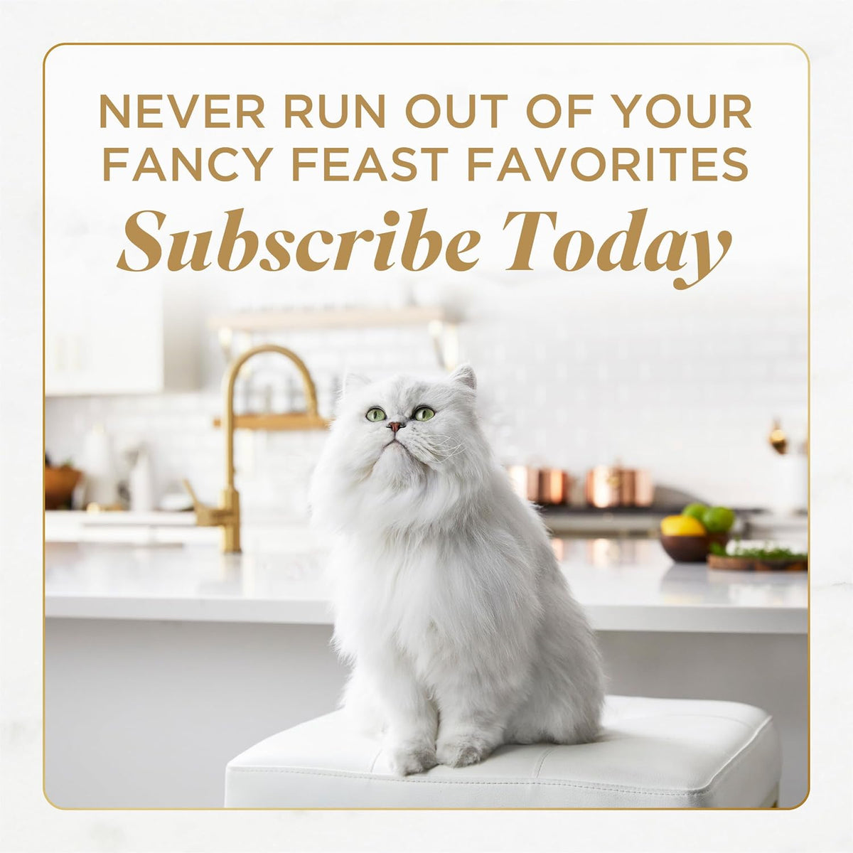 Purina Fancy Feast Savory Centers Gourmet Wet Cat Food Pate With Chicken and Gravy Center, (Pack of 24) 3 oz Cans