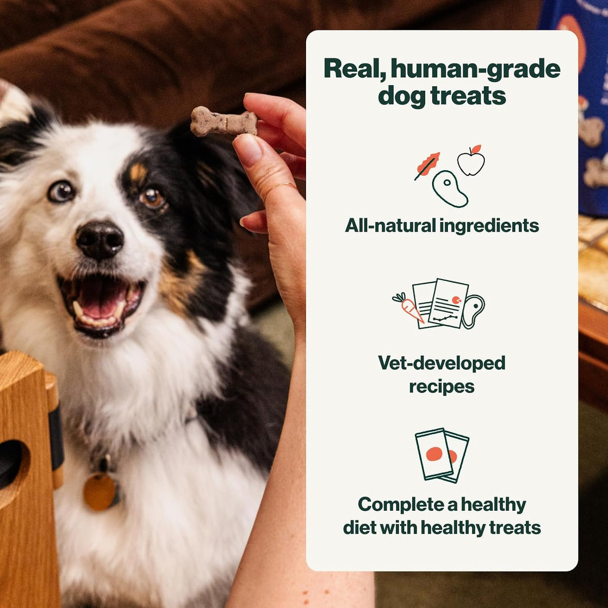 The Farmer's Dog Human-Grade Crunchy Dog Biscuits, Peanut Butter & Pumpkin