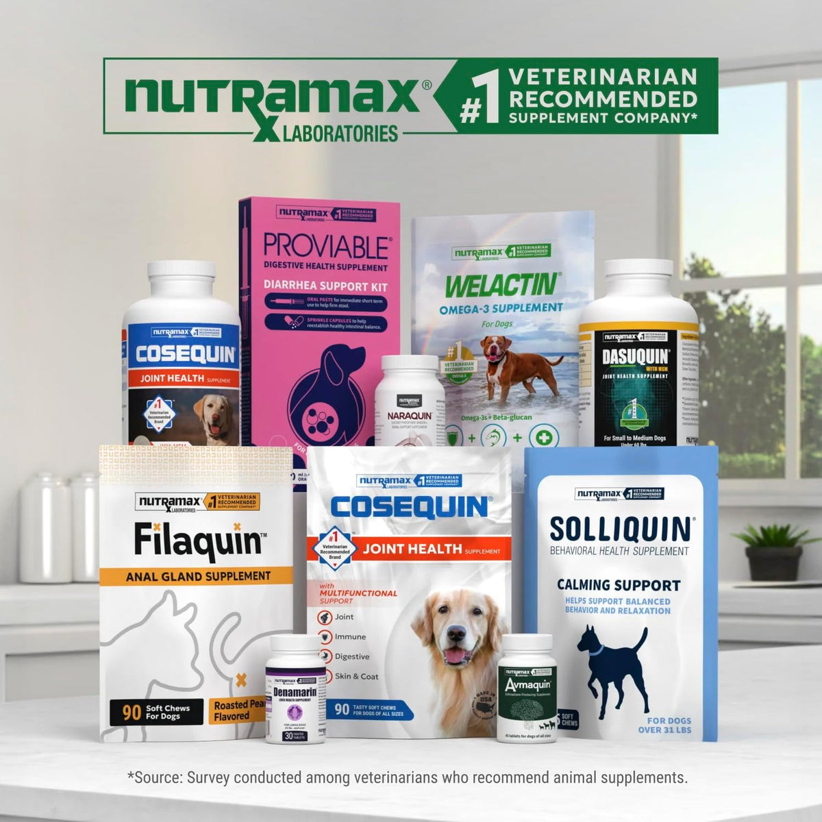 Nutramax Dasuquin MSM Joint Supplement for Large Dogs, Soft Chews, 150ct