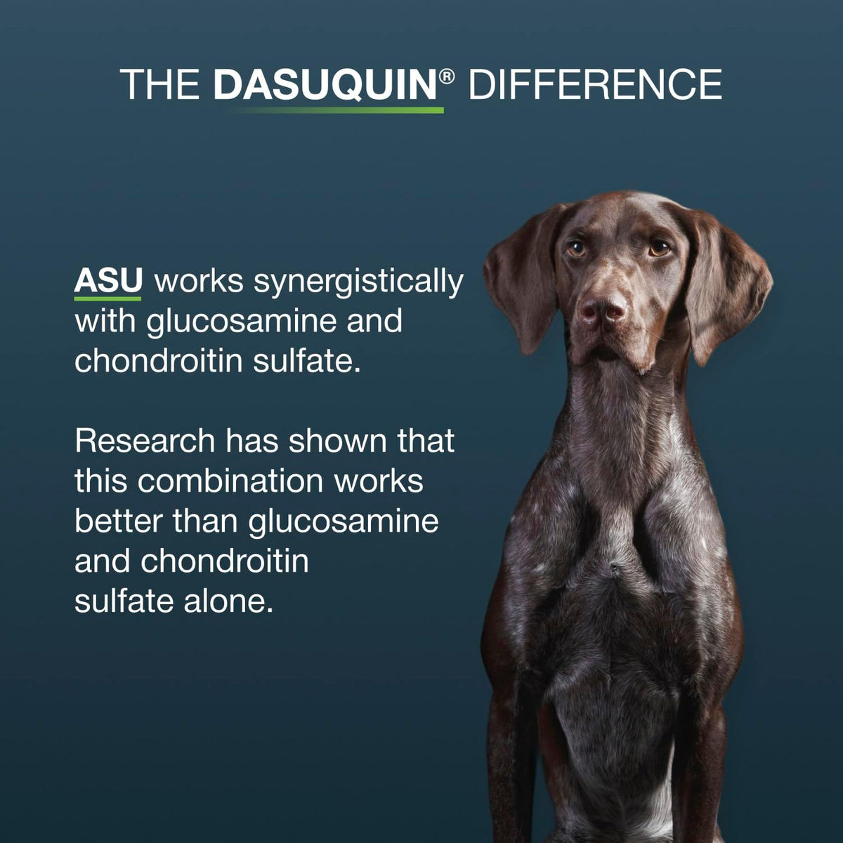 Nutramax Dasuquin MSM Joint Supplement for Large Dogs, Soft Chews, 150ct