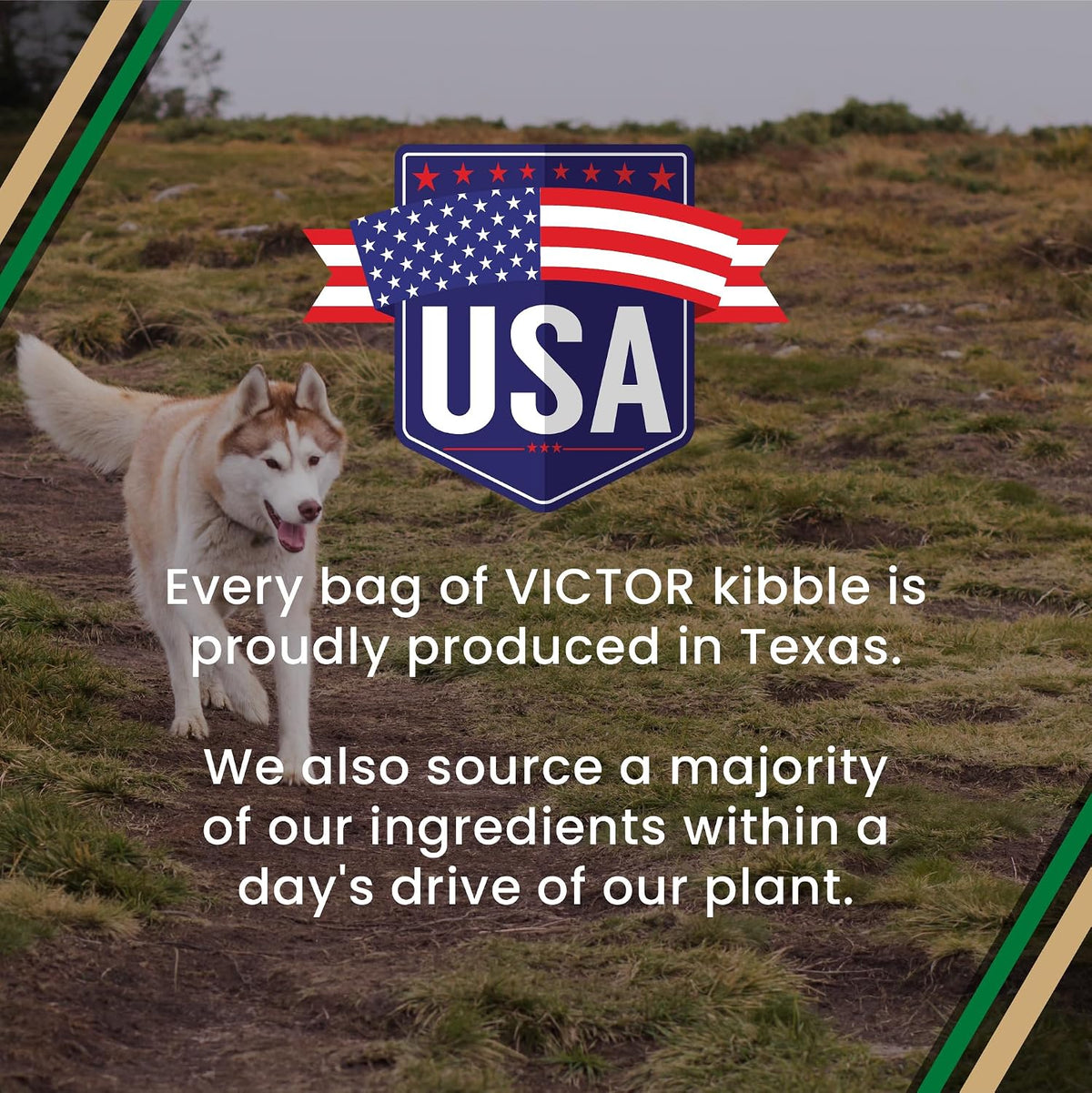 VICTOR Performance Dry Dog Food - Beef, Chicken & Pork Meal, 40 lb
