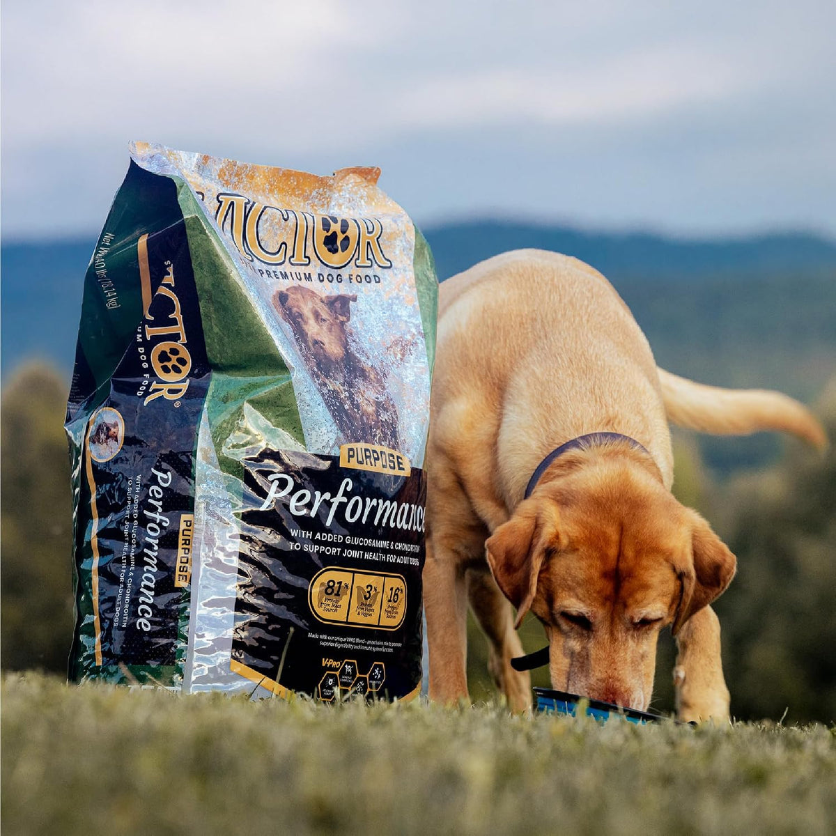 VICTOR Performance Dry Dog Food - Beef, Chicken & Pork Meal, 40 lb