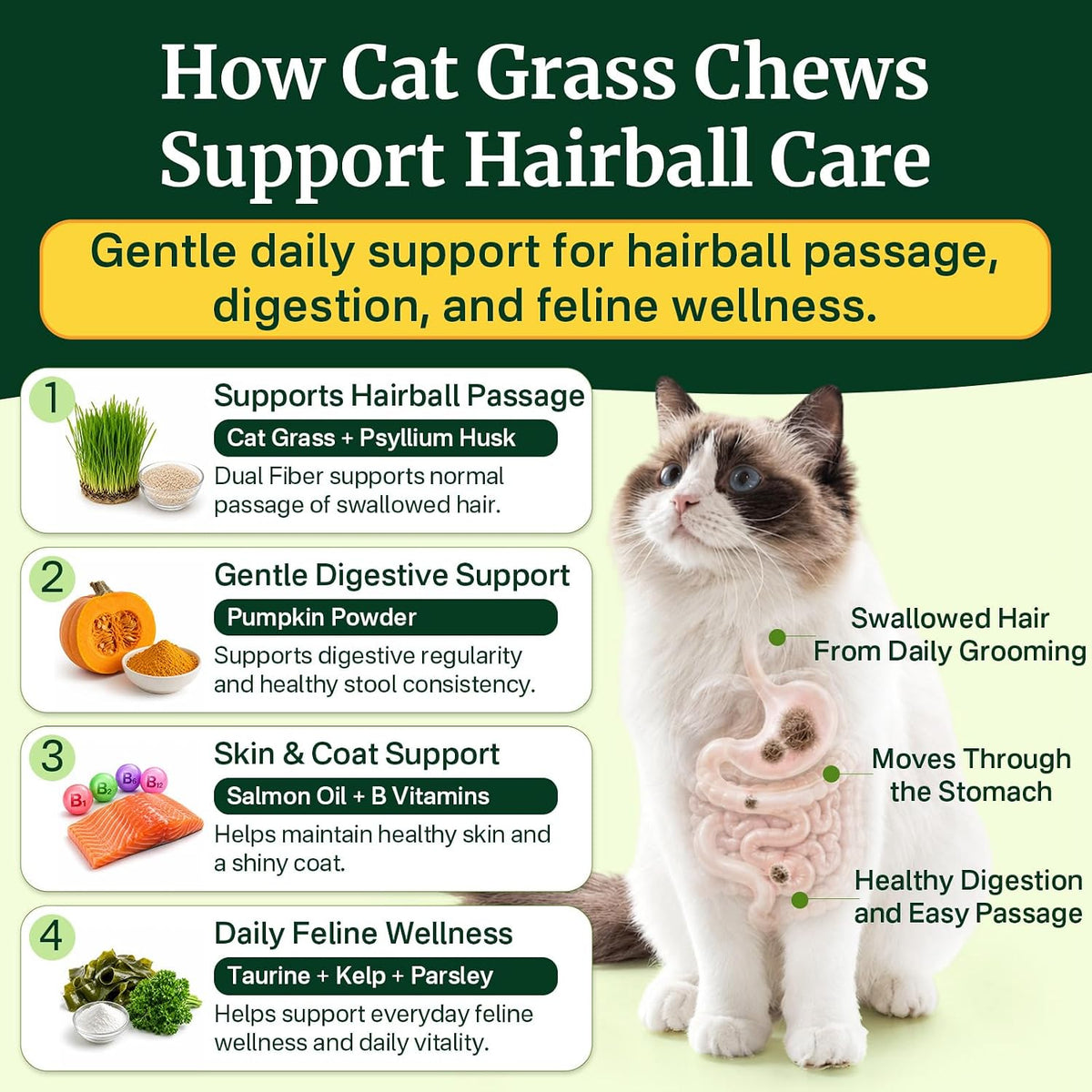 Cat Grass Treats Chews, Cat Treats for Indoor Cats 500 Ct, Hairball Control