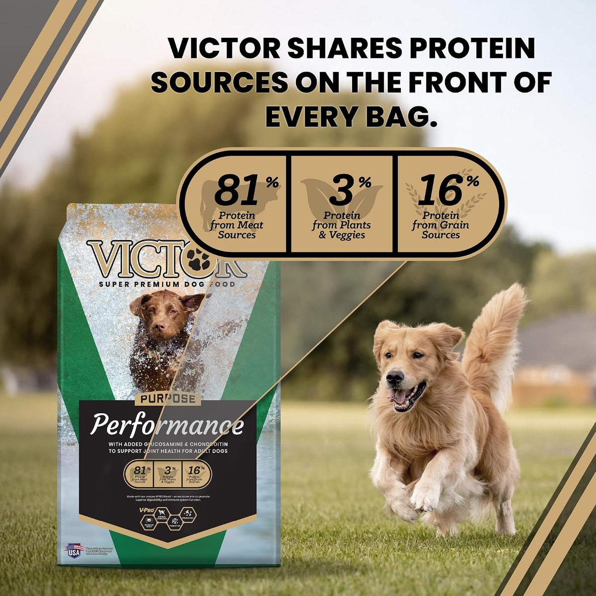 VICTOR Performance Dry Dog Food - Beef, Chicken & Pork Meal, 40 lb
