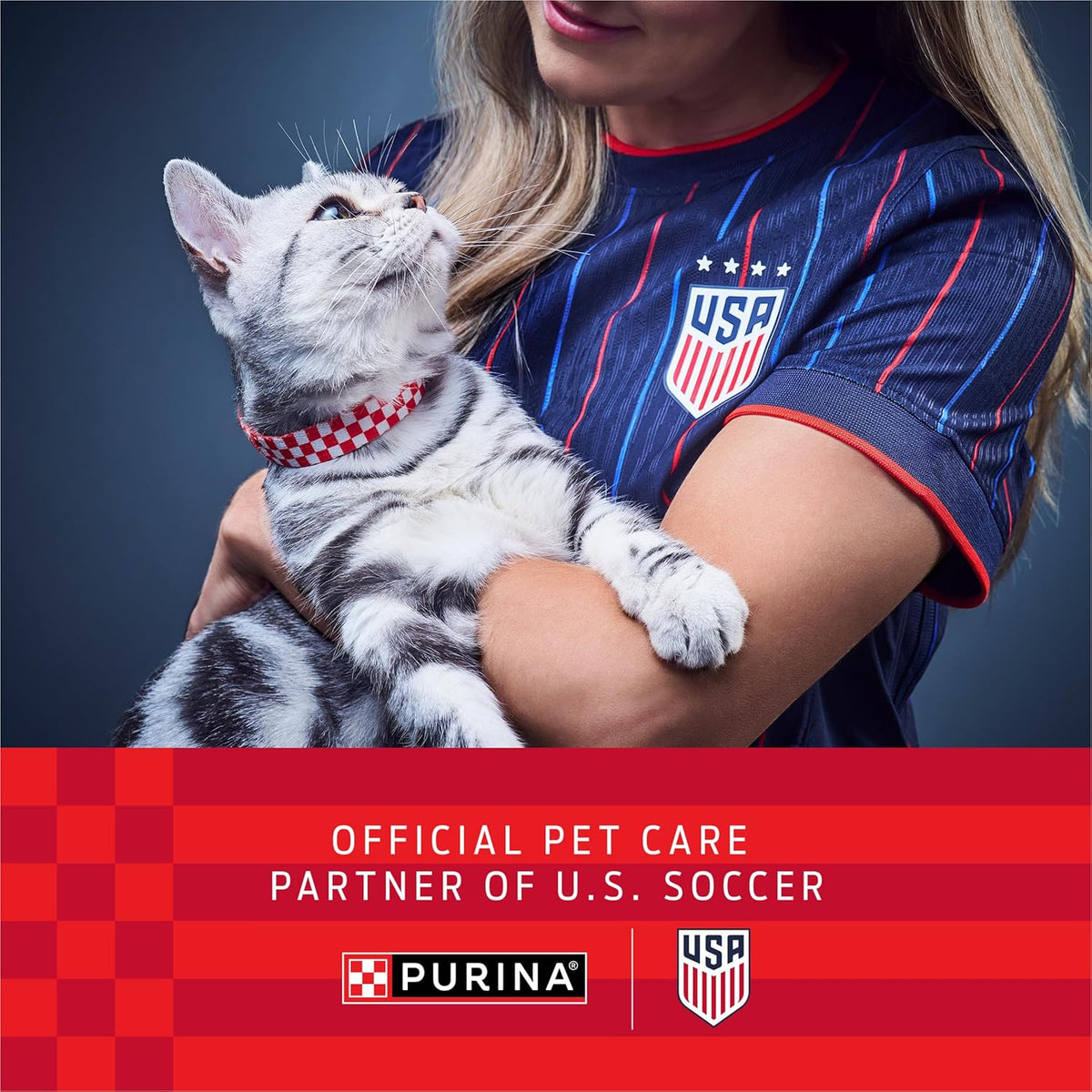 Purina Fancy Feast Broths, Classic Seafood Wet Cat Food, 1.4 oz, 12-Pack | Variety Pack with Lickable Grain-Free Wet Cat Food complements, made with no by-products, artificials flavors or colors